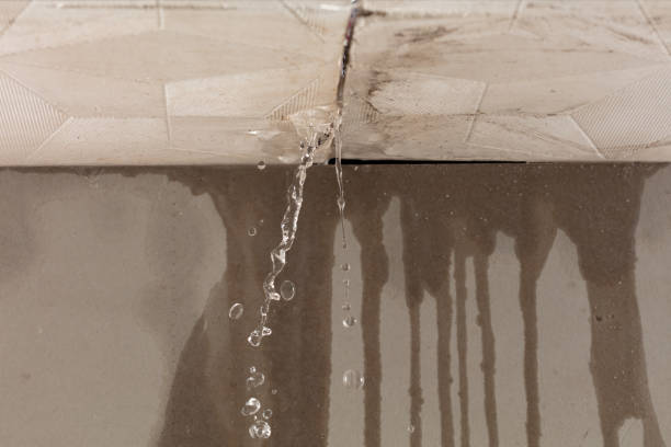 Professional Burst Pipe Cleanup technician working in Roopville, GA